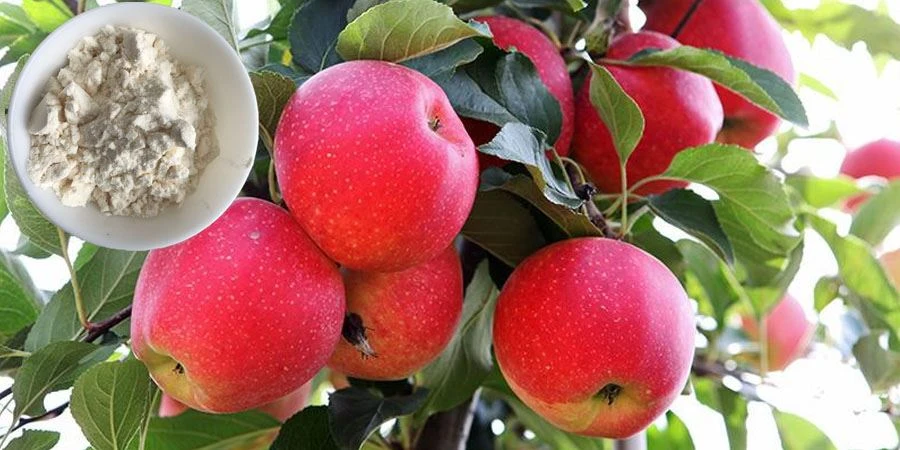 Apple Juice Powder