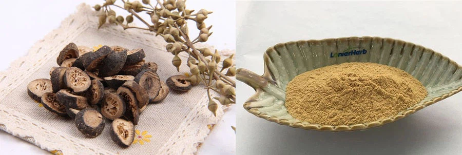 Wholesale Hesperidin 95%