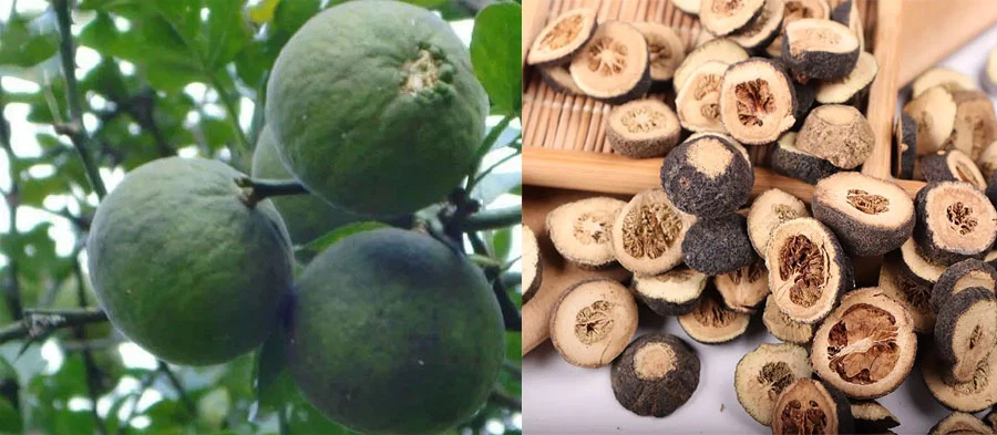 Hesperidin 95% manufacturers