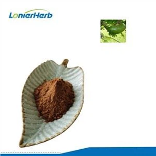 Ekstrakt z gravioli w proszku