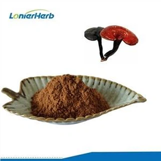 Ekstrakt z grzyba Reishi w proszku