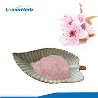 Proszek z kwiatu wiśni Sakura