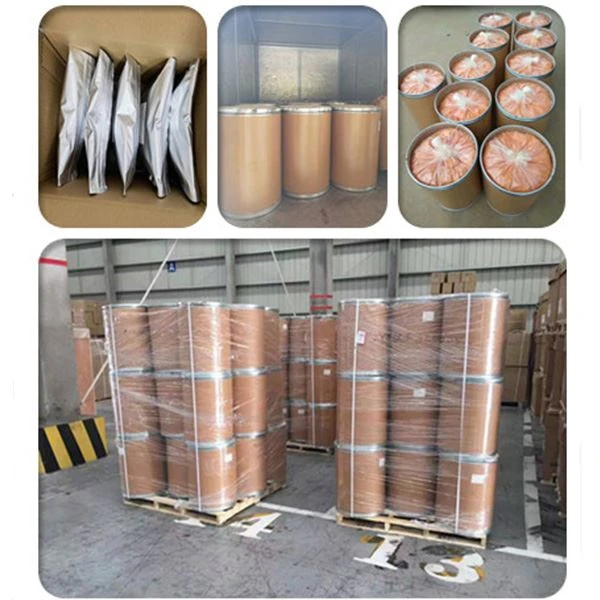 Gymnema Sylvestre Extract Powder