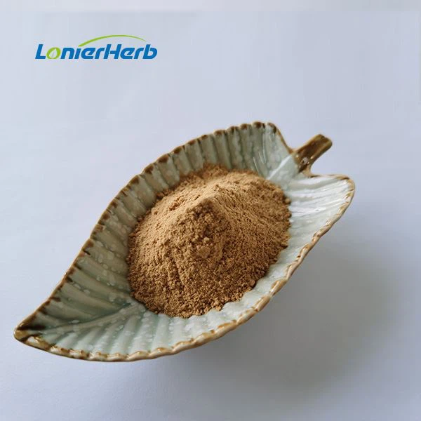 Honeysuckle Flower Extract Powder