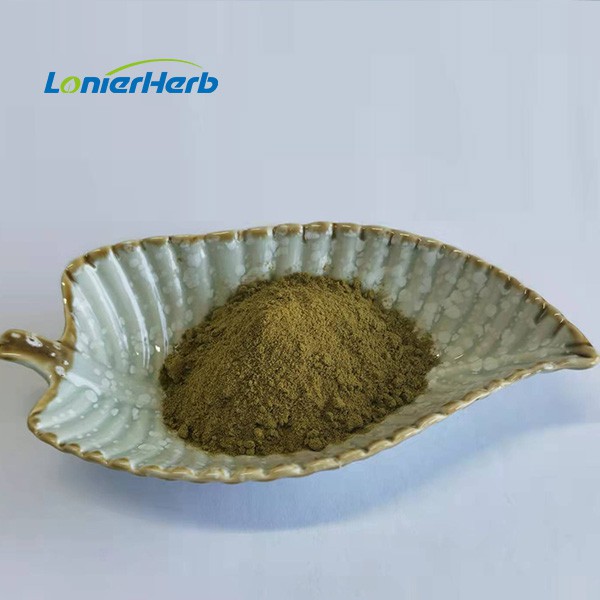 Echinacea Purpurea Extract Powder