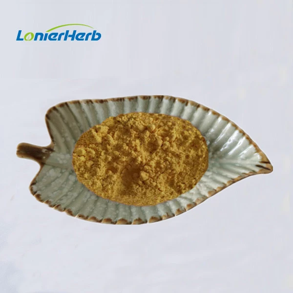 Sea Buckthorn Fruit Powder