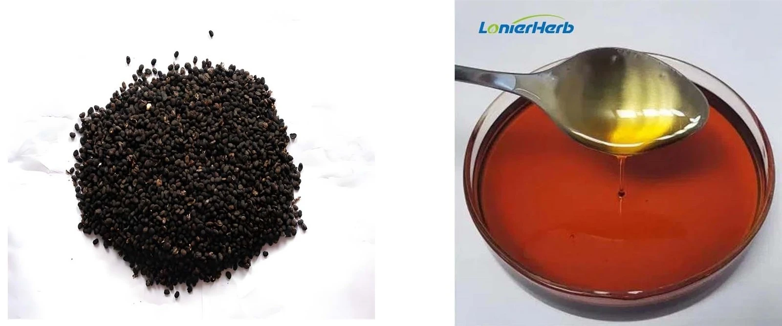 Psoralea Corylifolia Extract Psoralea Corylifolia Extract